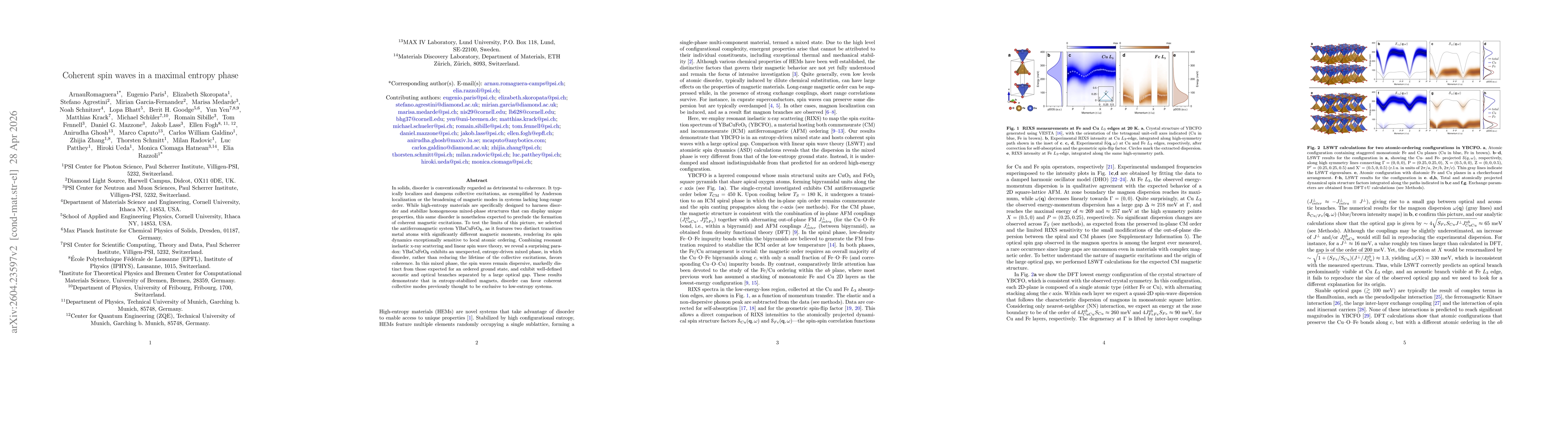 Thumbnail for Coherent spin waves in a maximal entropy phase