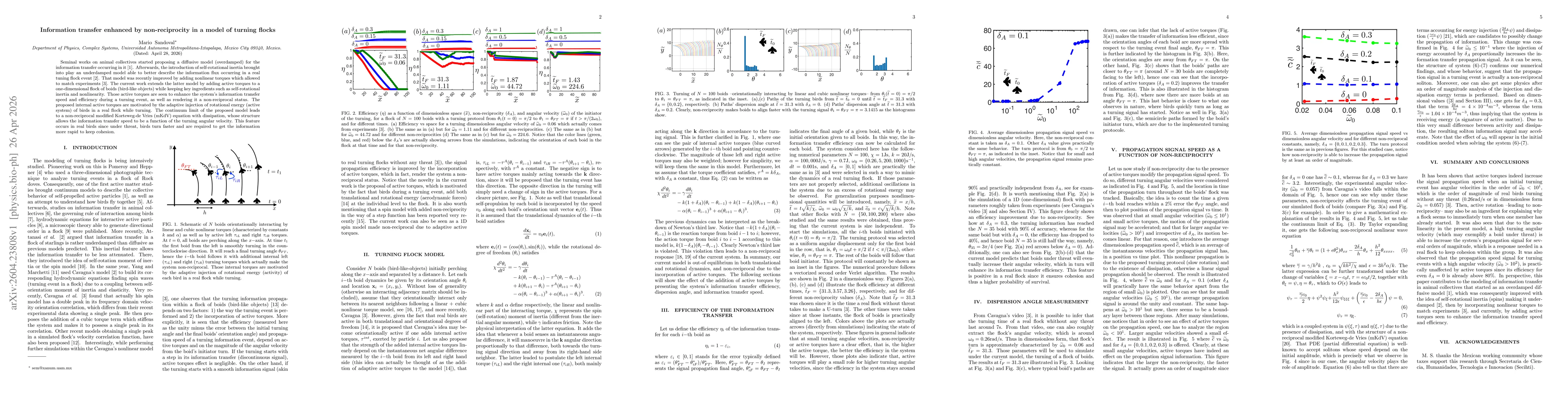 Thumbnail for Information transfer enhanced by non-reciprocity in a model of turning flocks