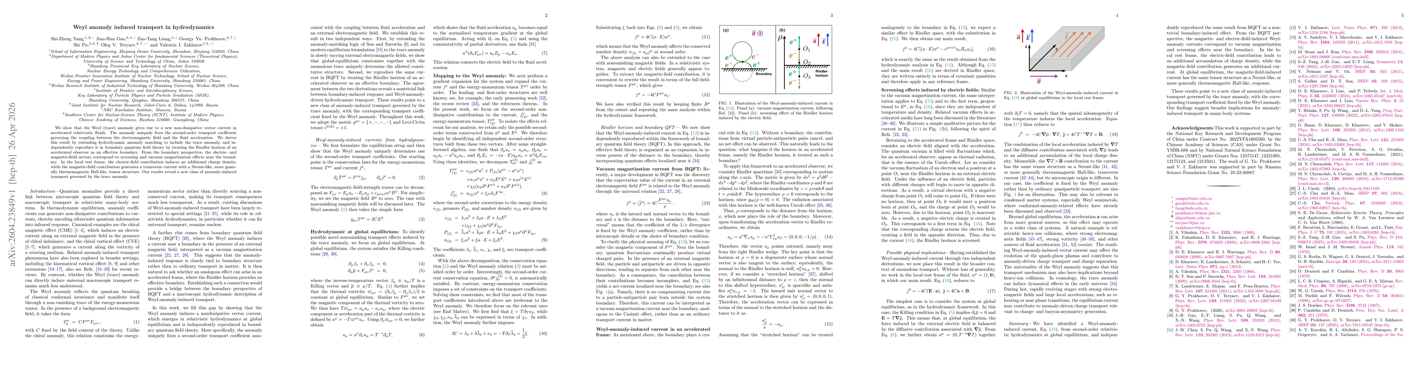 Thumbnail for Weyl anomaly induced transport in hydrodynamics
