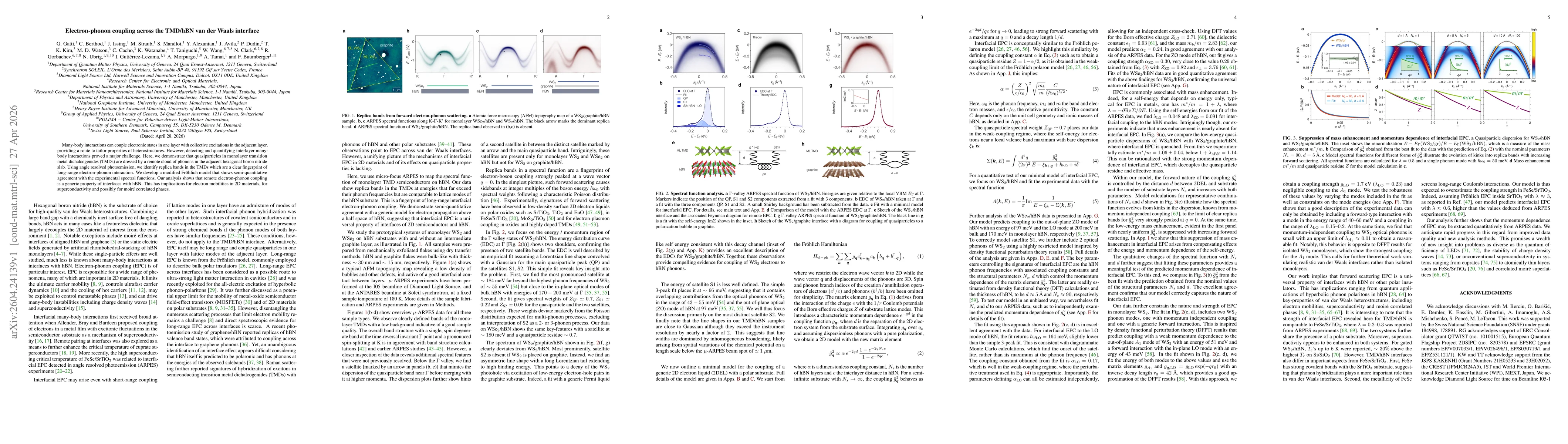Thumbnail for Electron-phonon coupling across the TMD/hBN van der Waals interface