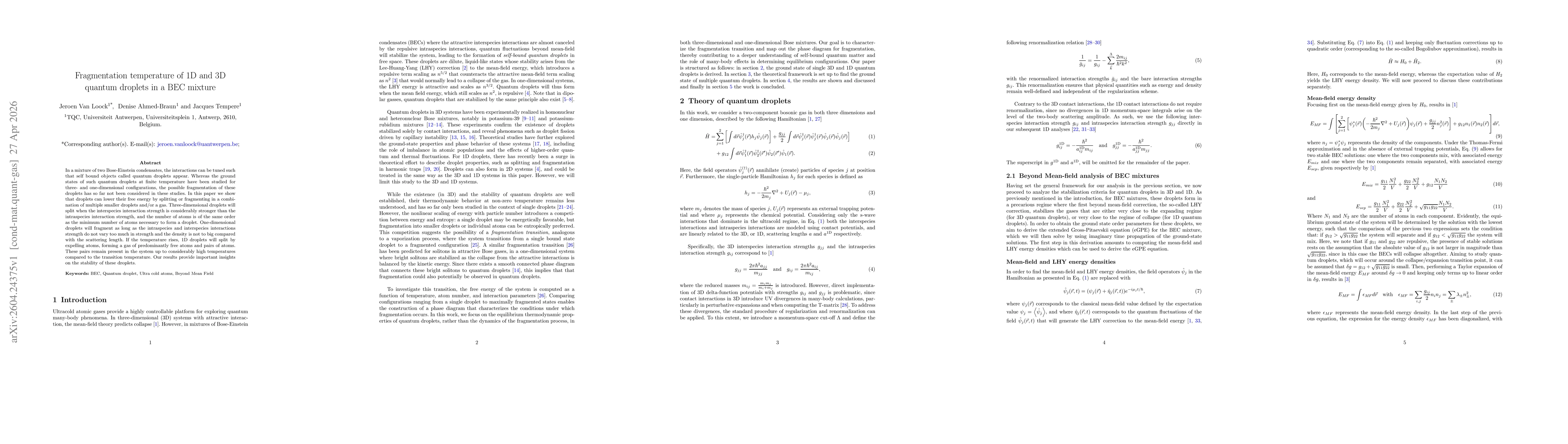 Thumbnail for Fragmentation Temperature of 1D and 3D Quantum Droplets in a BEC Mixture