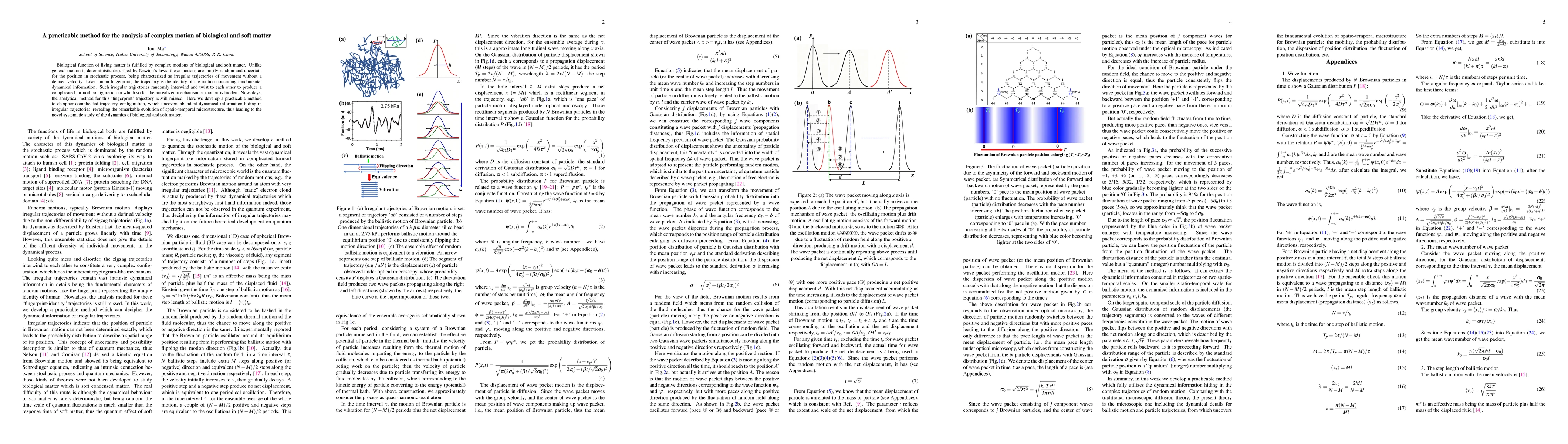 Thumbnail for A practicable method for the analysis of complex motion of biological and soft matter