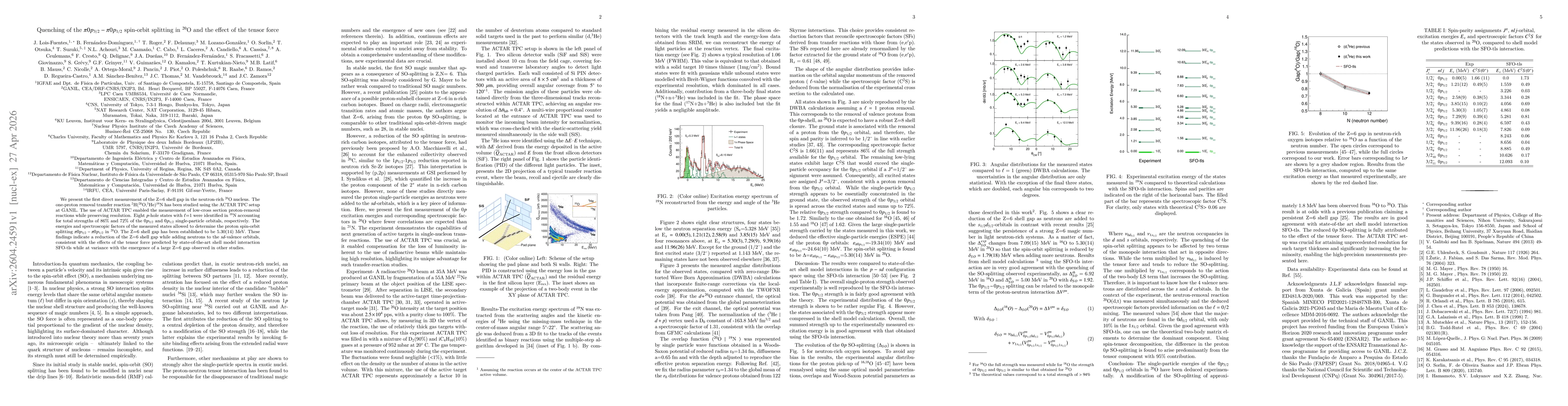 Thumbnail for Quenching of the proton $\pi0p_{3/2}$-$\pi0p_{1/2}$ spin-orbit splitting in $^{20}$O and the effect of the tensor force