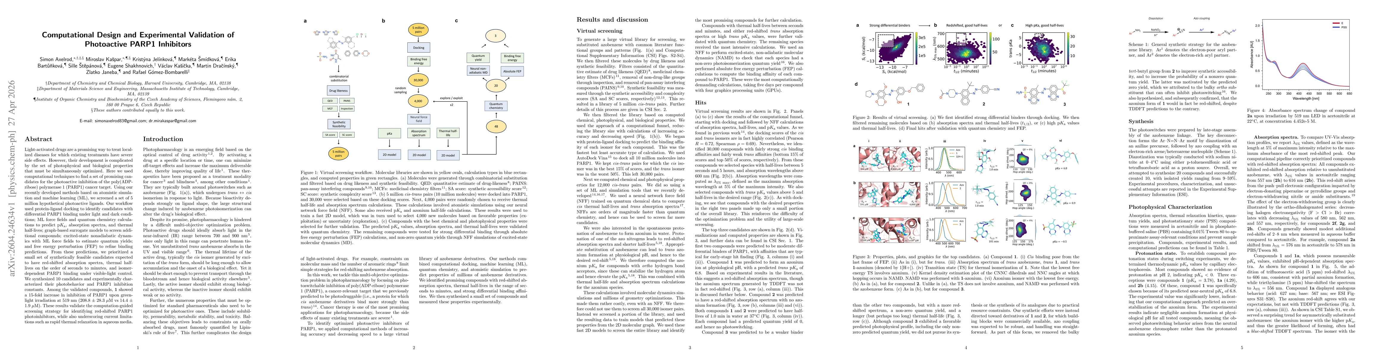 Thumbnail for Computational Design and Experimental Validation of Photoactive PARP1 Inhibitors
