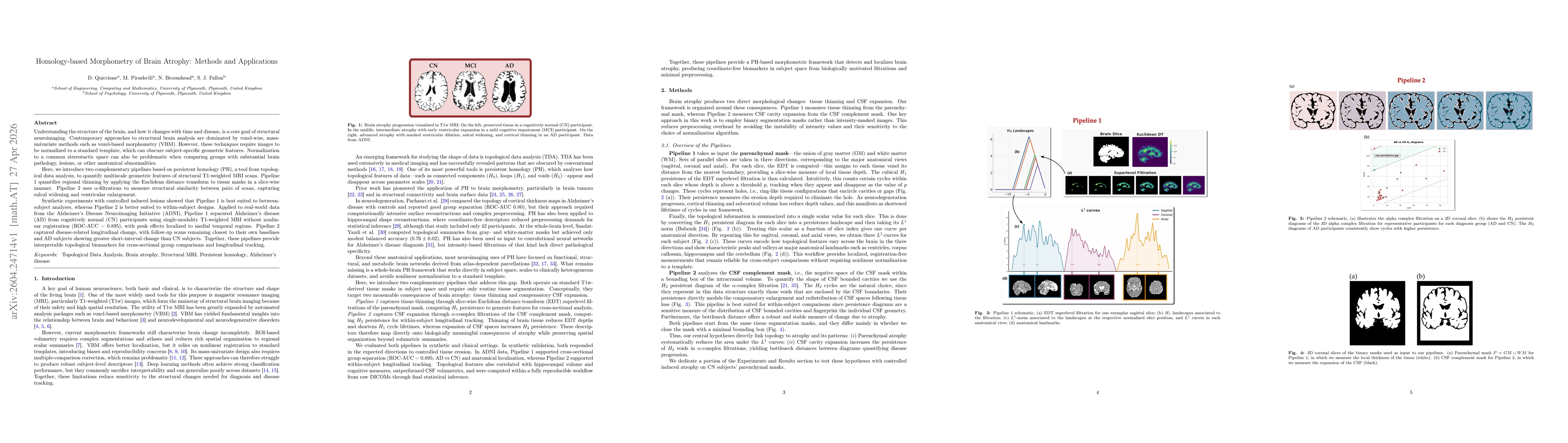 Thumbnail for Homology-based Morphometry of Brain Atrophy: Methods and Applications