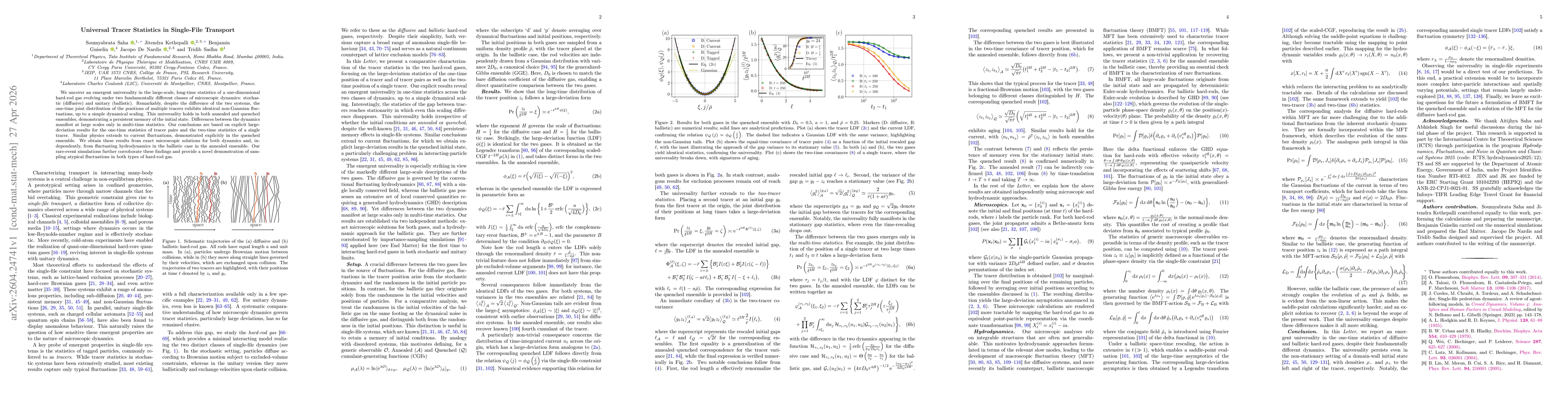 Thumbnail for Universal tracer statistics in single-file transport