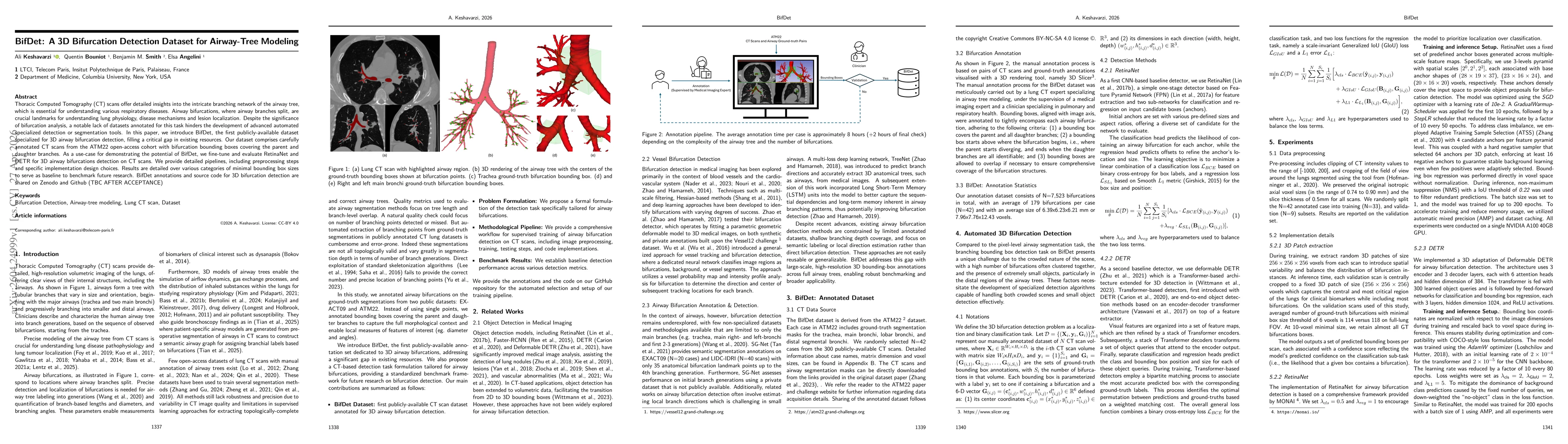 Thumbnail for BifDet: A 3D Bifurcation Detection Dataset for Airway-Tree Modeling