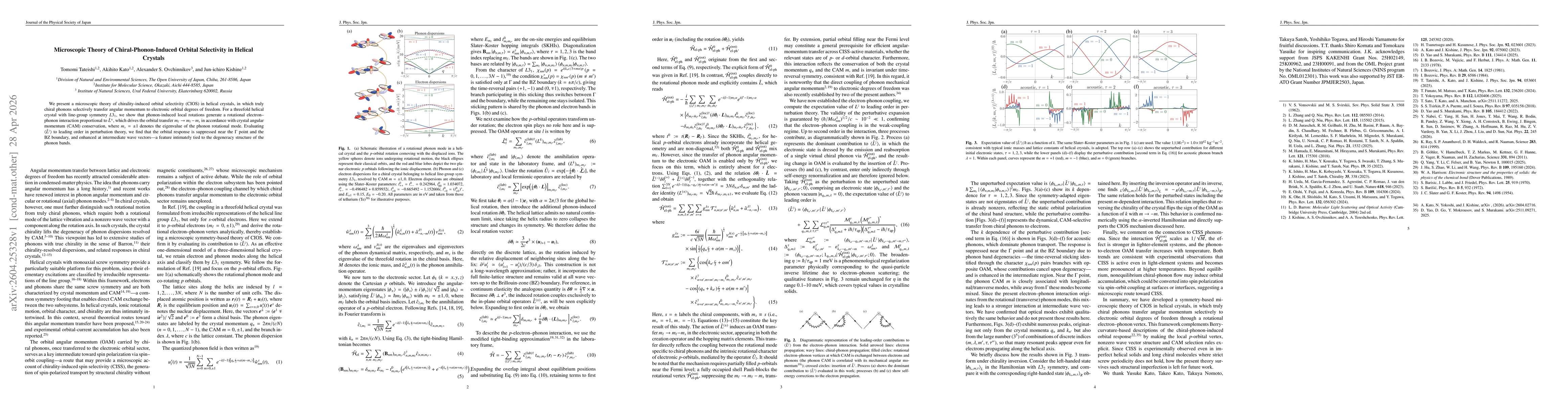 Thumbnail for Microscopic Theory of Chiral-Phonon-Induced Orbital Selectivity in Helical Crystals