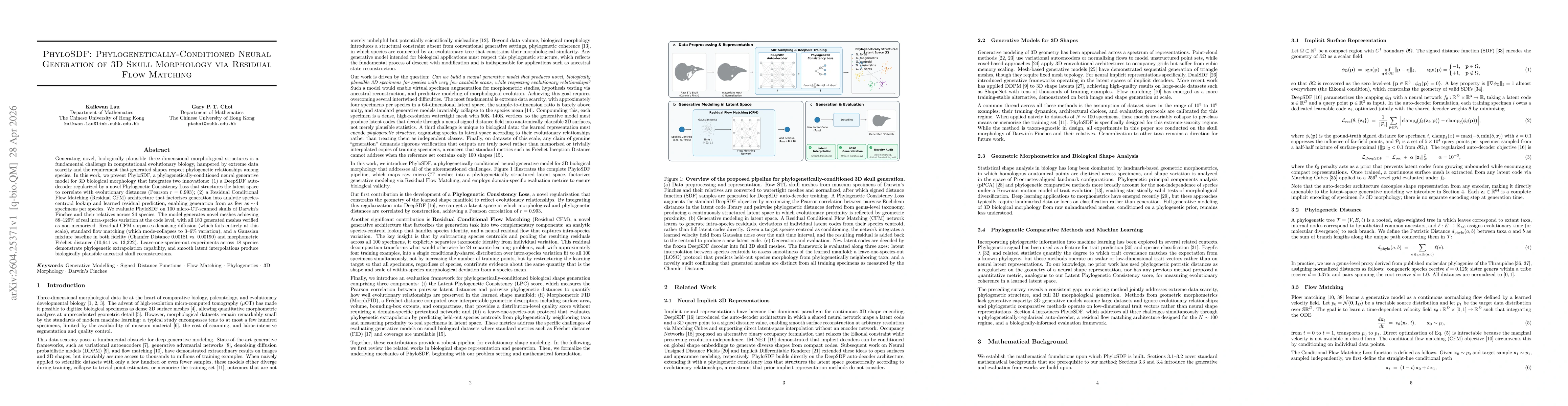 Thumbnail for PhyloSDF: Phylogenetically-Conditioned Neural Generation of 3D Skull Morphology via Residual Flow Matching