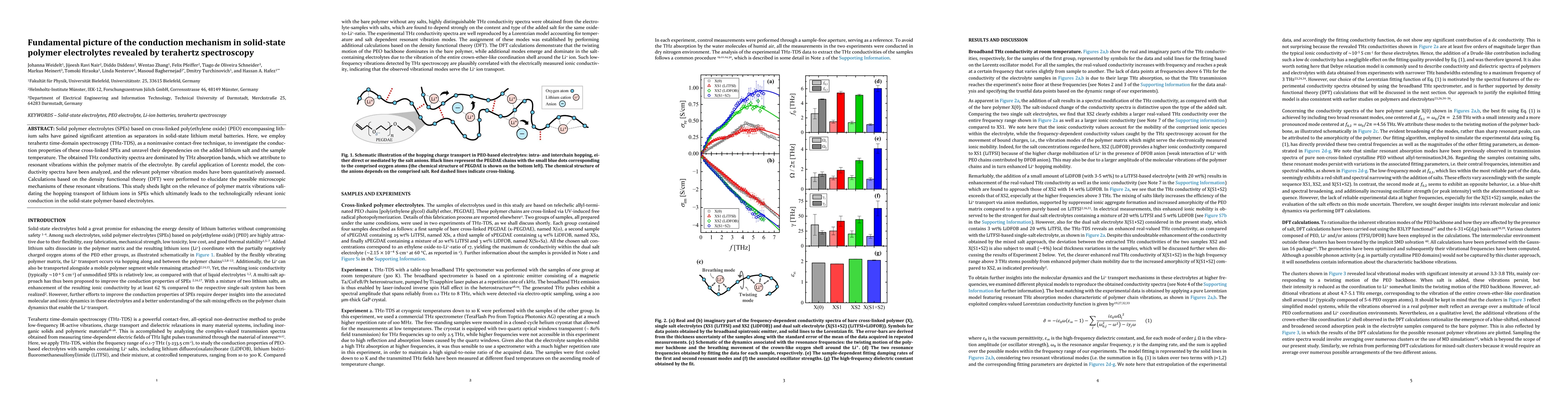 Thumbnail for Fundamental picture of the conduction mechanism in solid-state polymer electrolytes revealed by terahertz spectroscopy