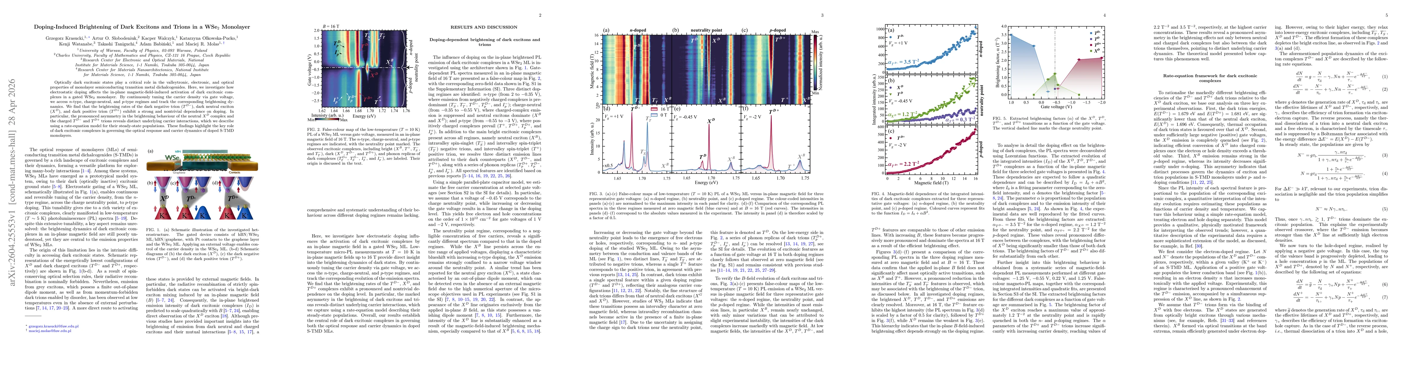 Thumbnail for Doping-Induced Brightening of Dark Excitons and Trions in a WSe$_2$ Monolayer