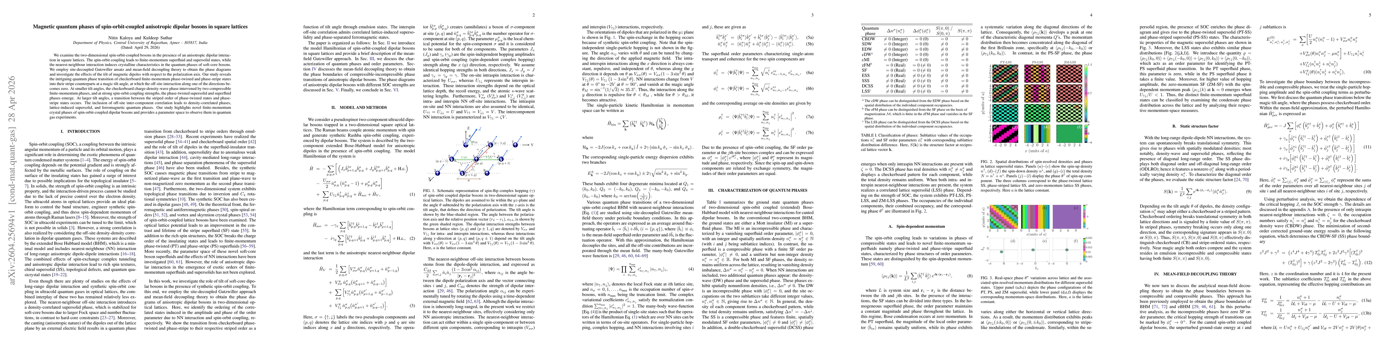 Thumbnail for Magnetic quantum phases of spin-orbit-coupled anisotropic dipolar bosons in square lattices