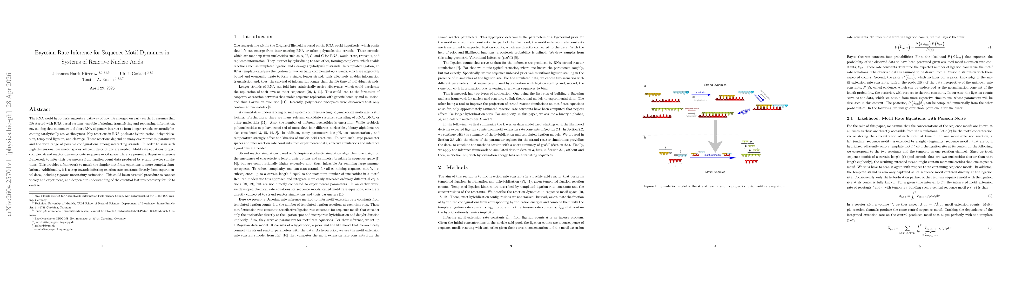Thumbnail for Bayesian Rate Inference for Sequence Motif Dynamics in Systems of Reactive Nucleic Acids