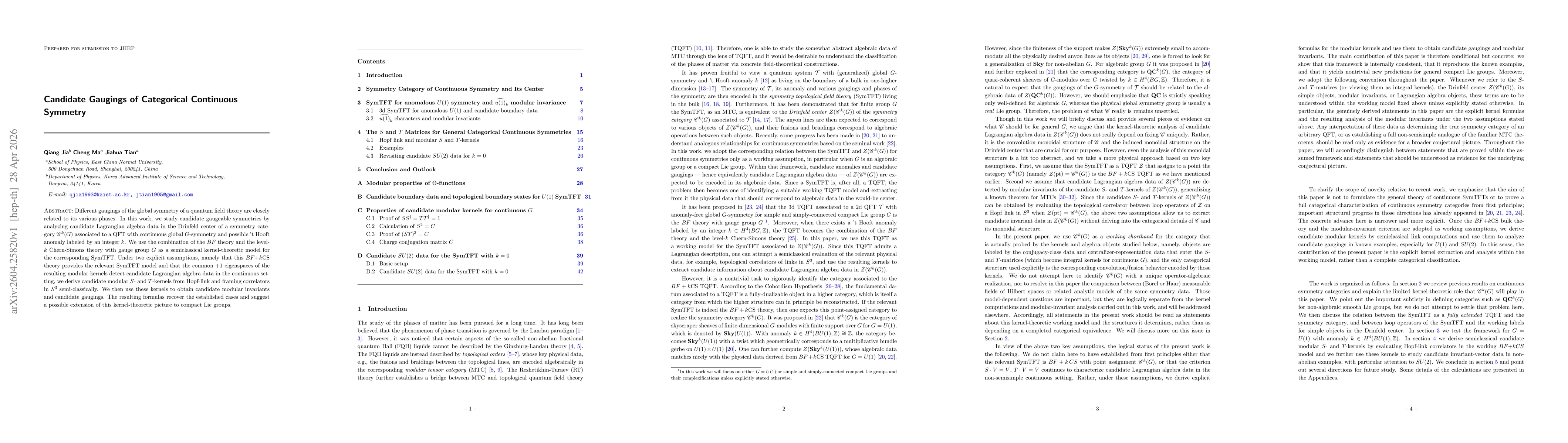 Thumbnail for Candidate Gaugings of Categorical Continuous Symmetry