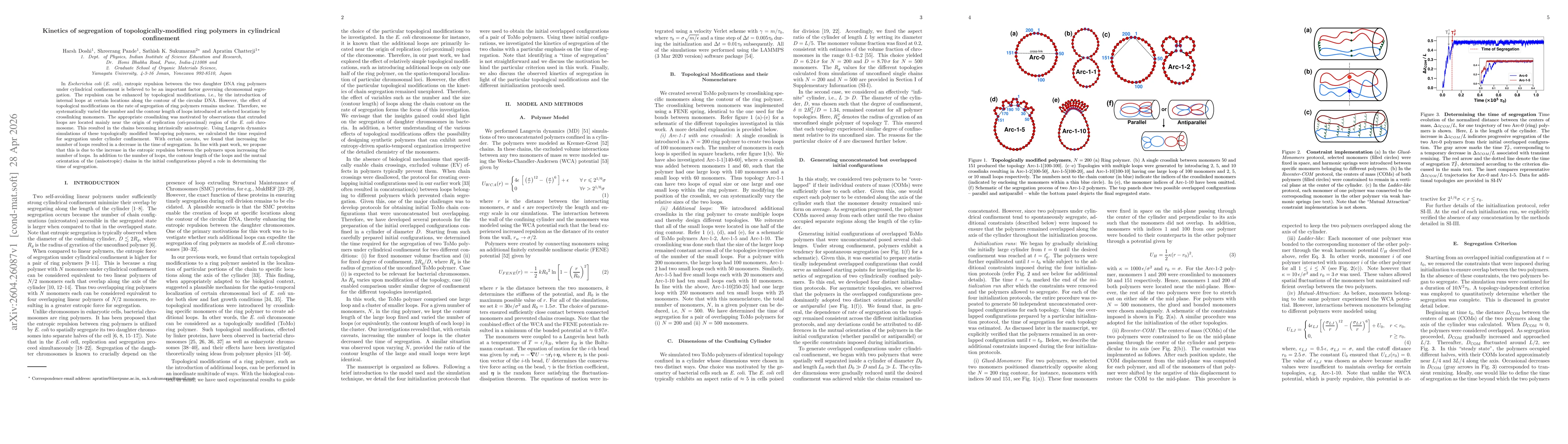 Thumbnail for Kinetics of segregation of topologically-modified ring polymers in cylindrical confinement