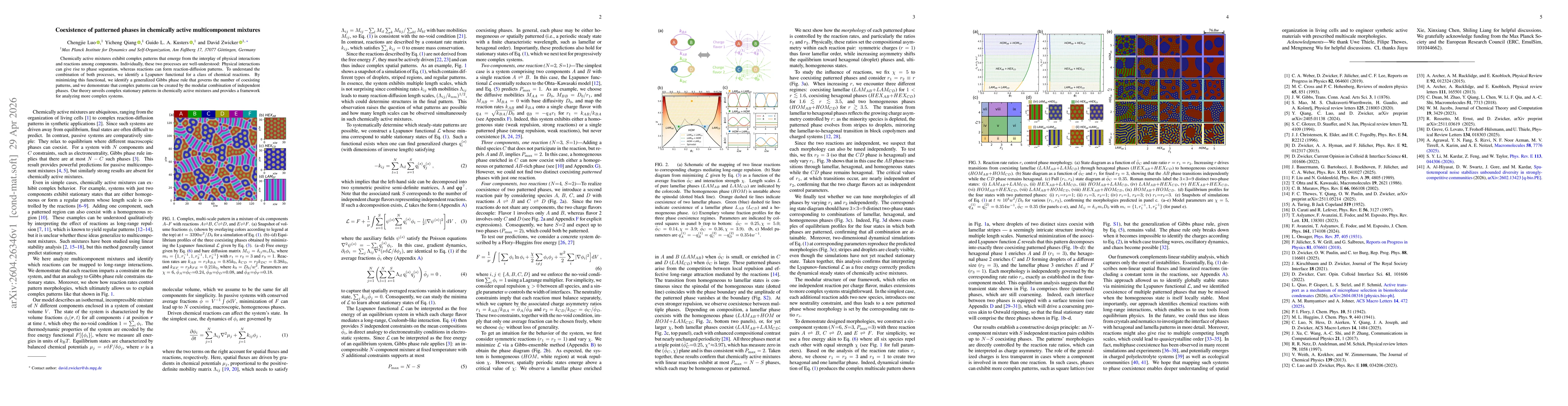 Thumbnail for Coexistence of patterned phases in chemically active multicomponent mixtures