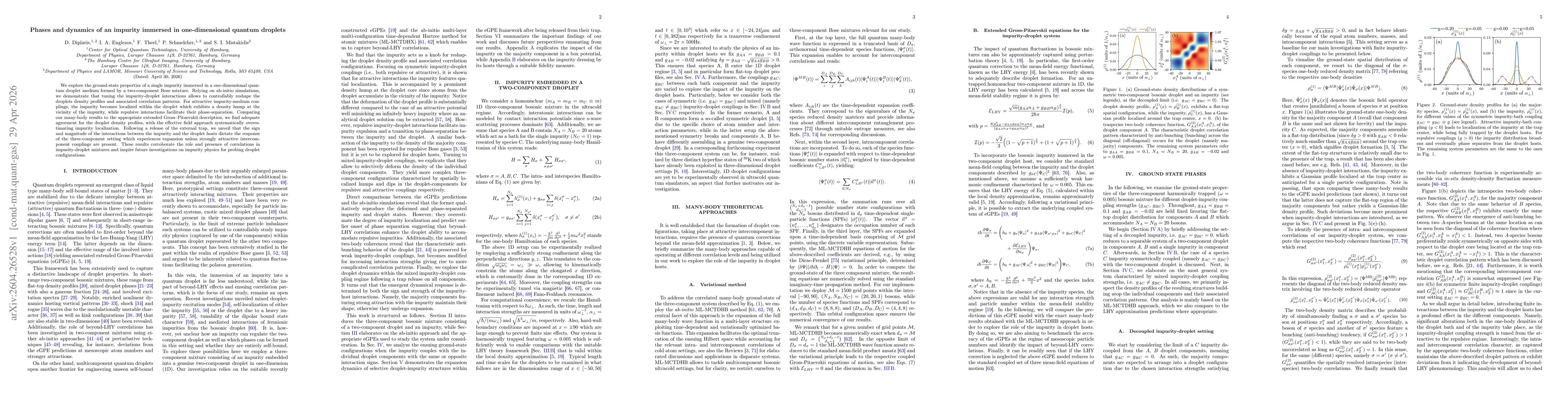 Thumbnail for Phases and dynamics of an impurity immersed in one-dimensional quantum droplets