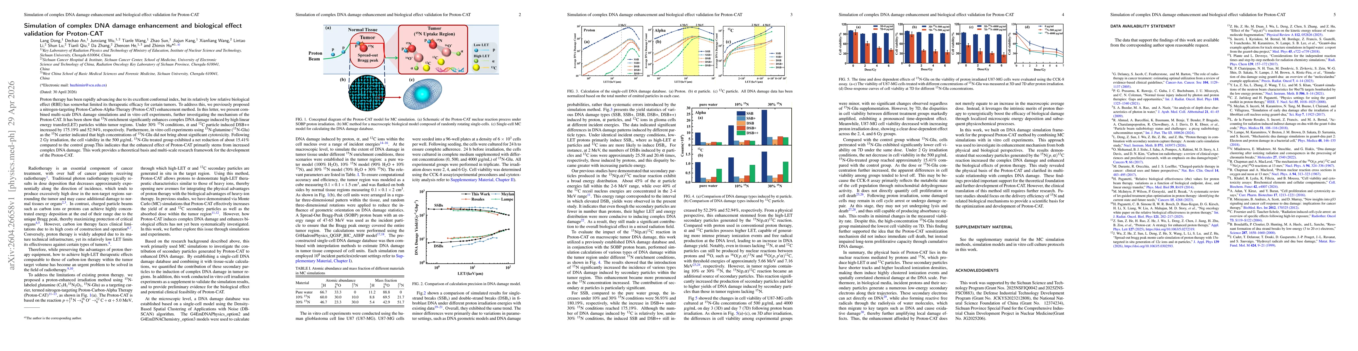 Thumbnail for Simulation of complex DNA damage enhancement and biological effect validation for Proton-CAT