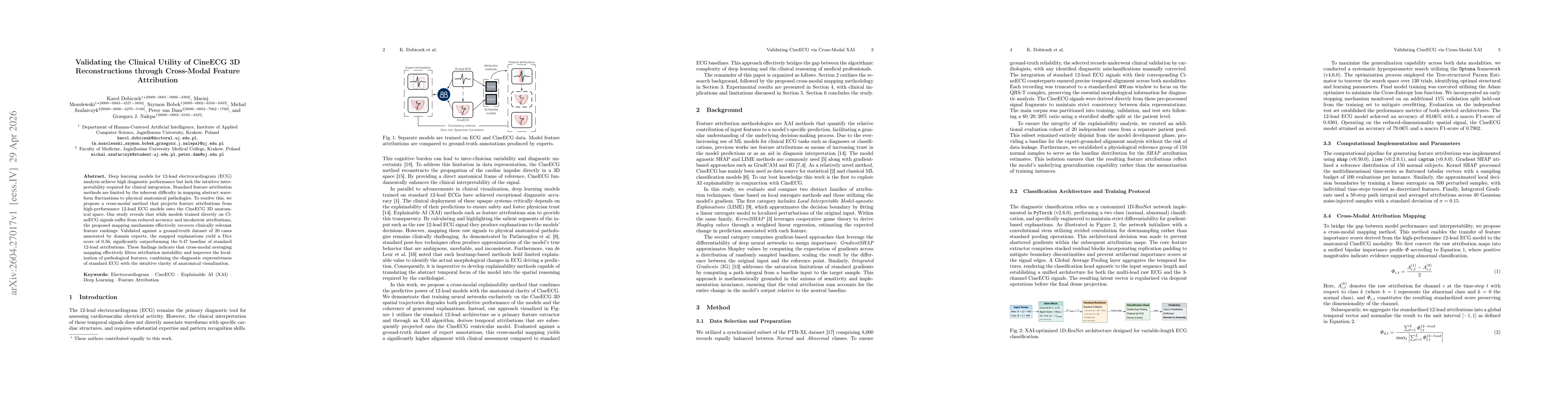 Thumbnail for Validating the Clinical Utility of CineECG 3D Reconstructions through Cross-Modal Feature Attribution