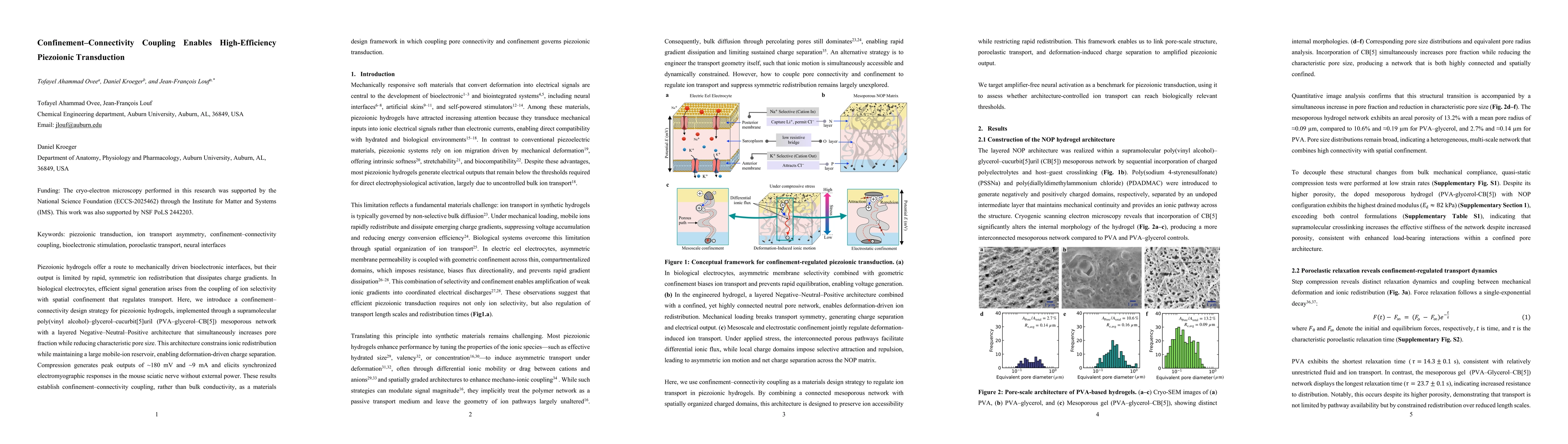 Thumbnail for Confinement-Connectivity Coupling Enables High-Efficiency Piezoionic Transduction