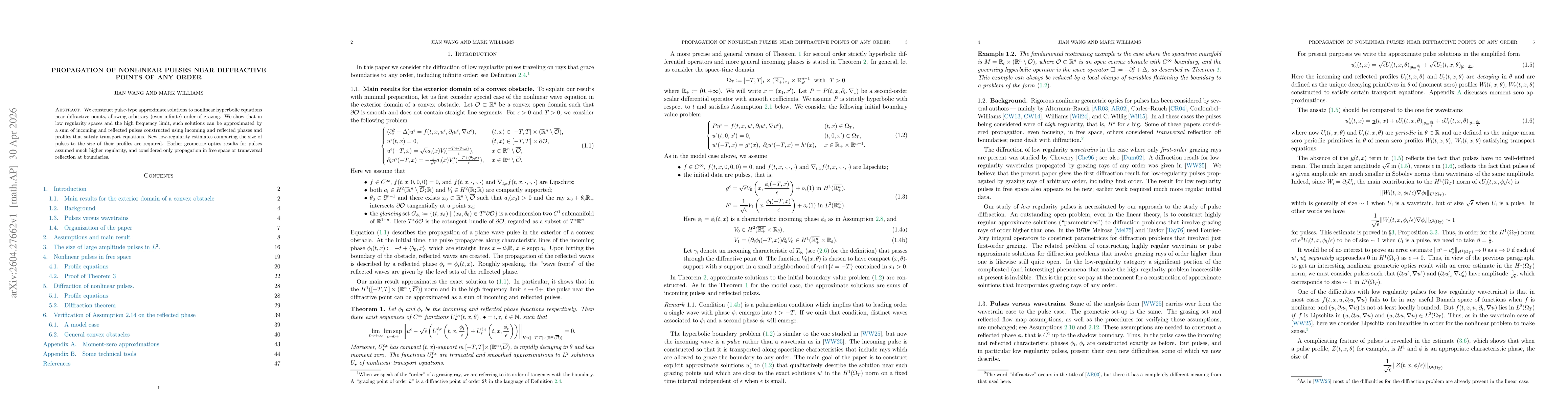 Thumbnail for Propagation of nonlinear pulses near diffractive points of any order