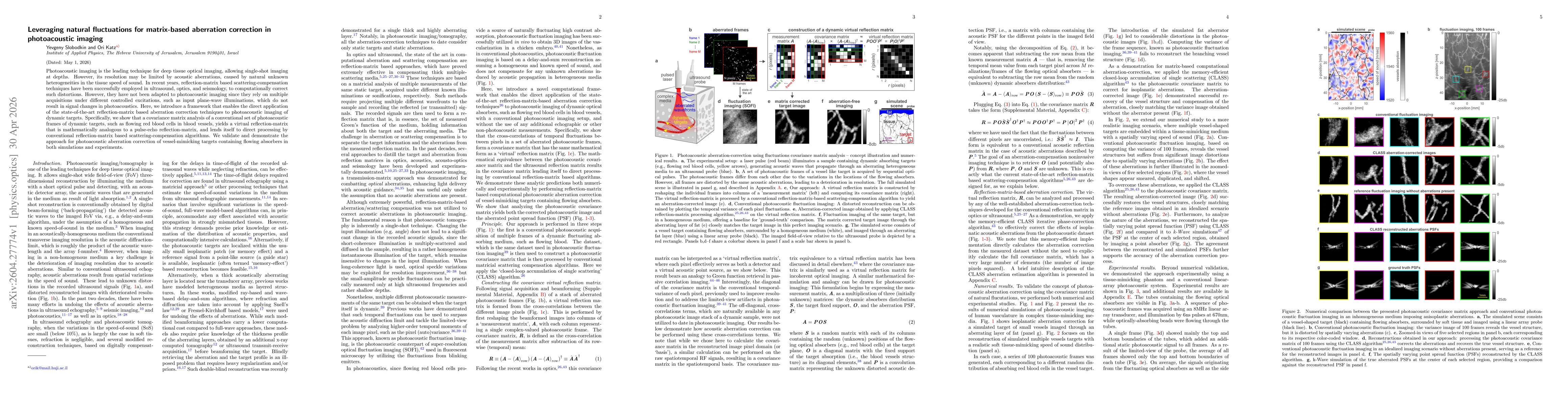 Thumbnail for Leveraging natural fluctuations for matrix-based aberration correction in photoacoustic imaging