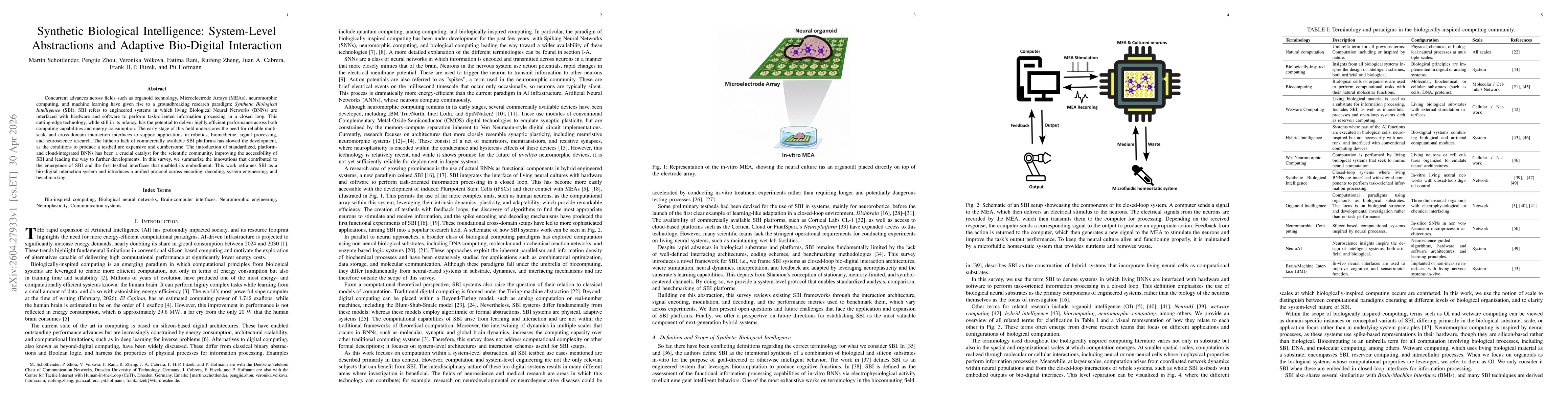 Thumbnail for Synthetic Biological Intelligence: System-Level Abstractions and Adaptive Bio-Digital Interaction