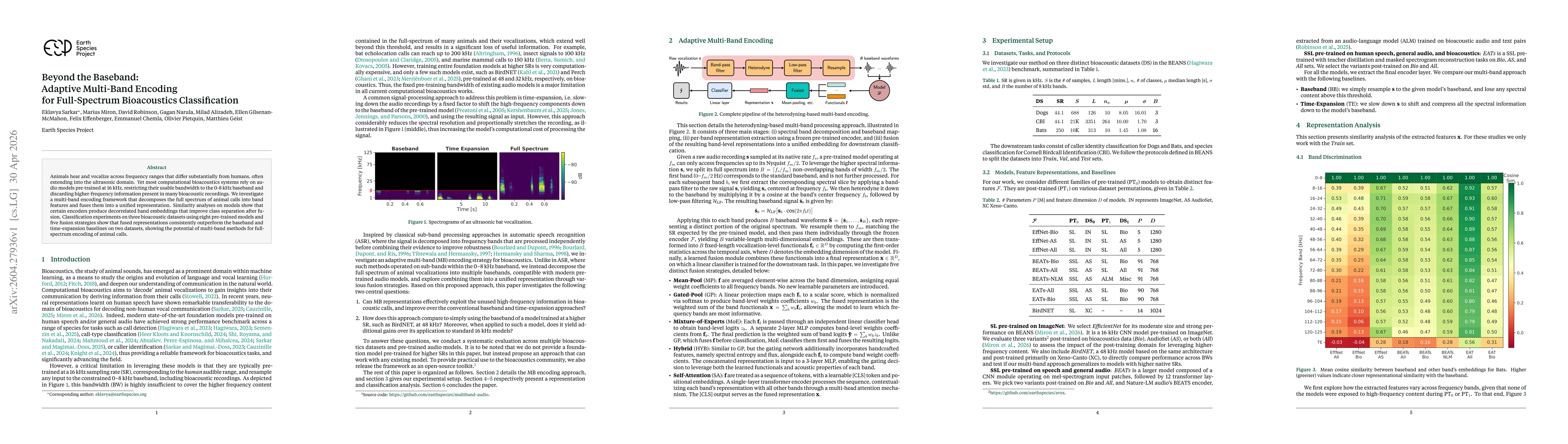 Thumbnail for Beyond the Baseband: Adaptive Multi-Band Encoding for Full-Spectrum Bioacoustics Classification