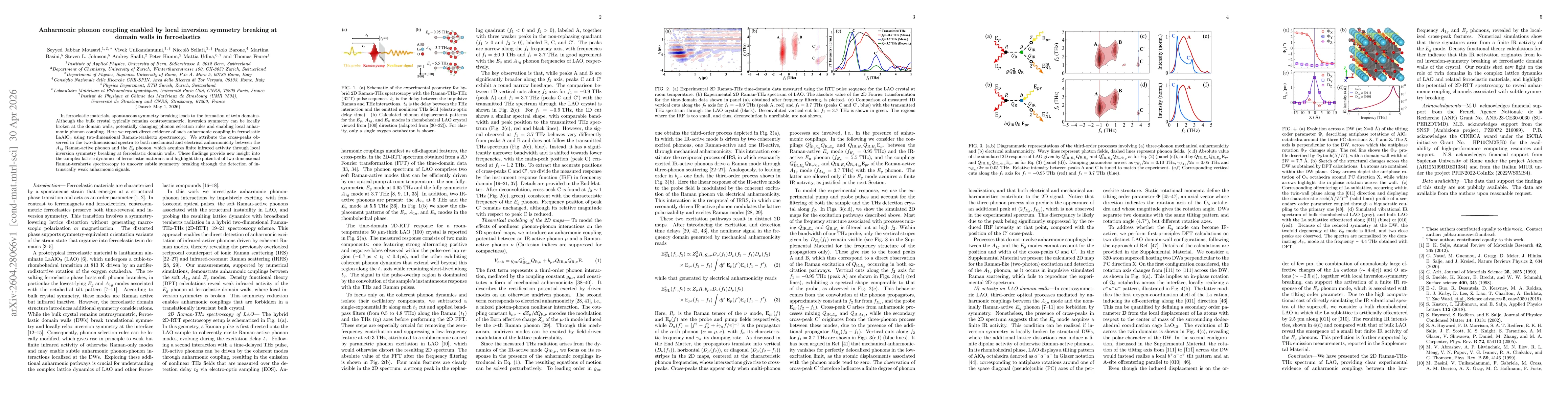 Thumbnail for Anharmonic phonon coupling enabled by local inversion symmetry breaking at domain walls in ferroelastic