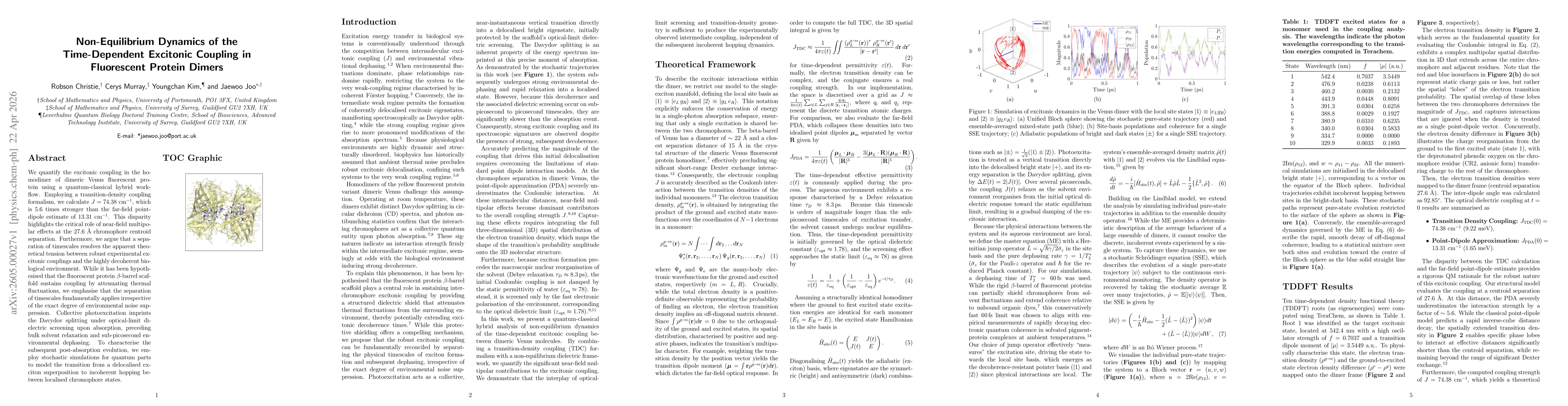 Thumbnail for Non-Equilibrium Dynamics of the Time-Dependent Excitonic Coupling in Fluorescent Protein Dimers