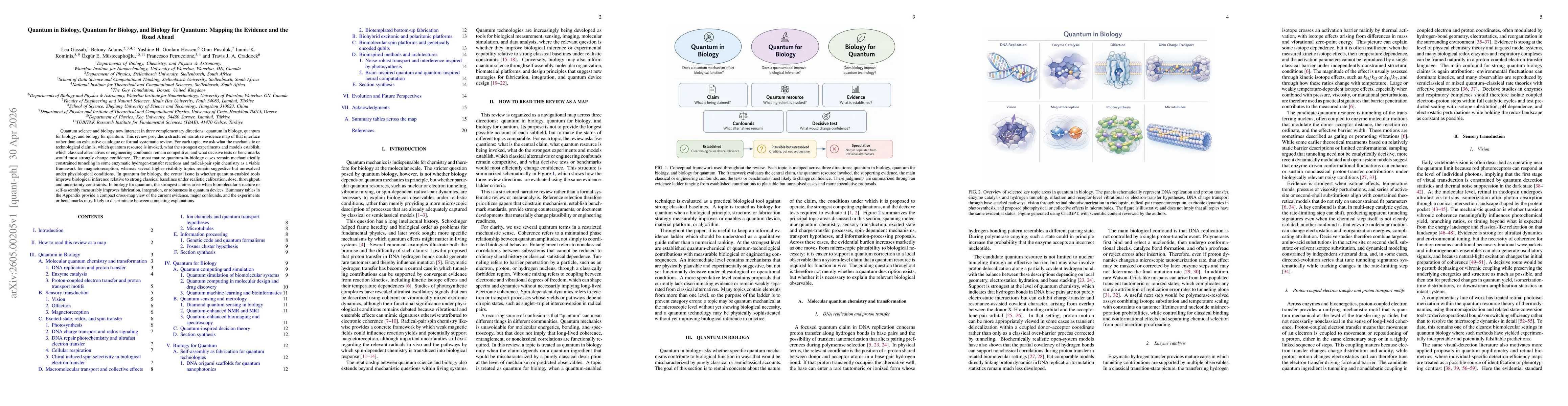 Thumbnail for Quantum in Biology, Quantum for Biology, and Biology for Quantum: Mapping the Evidence and the Road Ahead