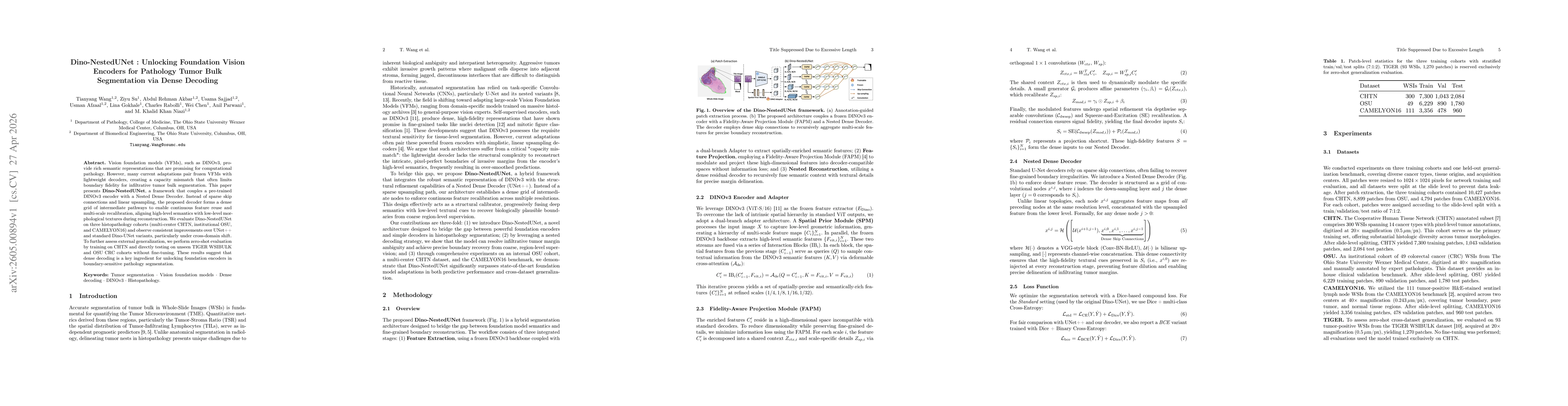 Thumbnail for Dino-NestedUNet: Unlocking Foundation Vision Encoders for Pathology Tumor Bulk Segmentation via Dense Decoding