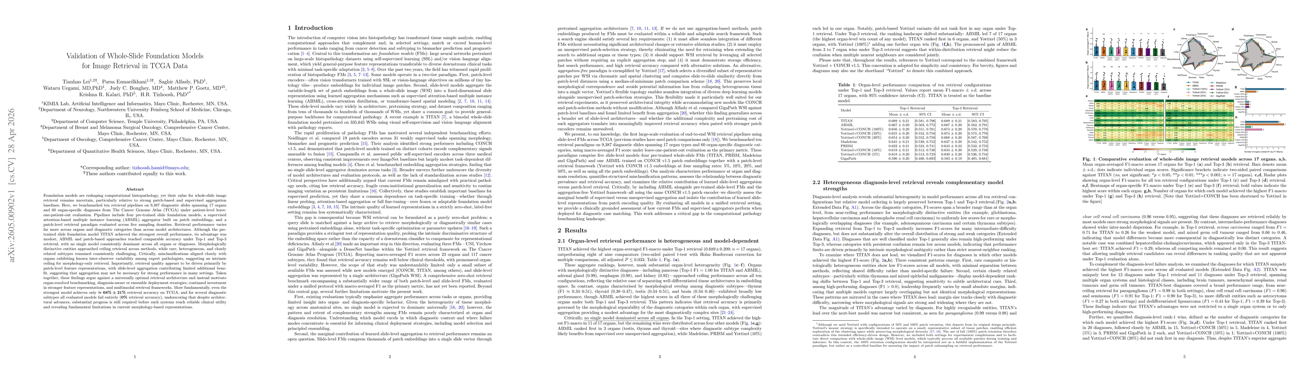 Thumbnail for Validation of Whole-Slide Foundation Models for Image Retrieval in TCGA Data