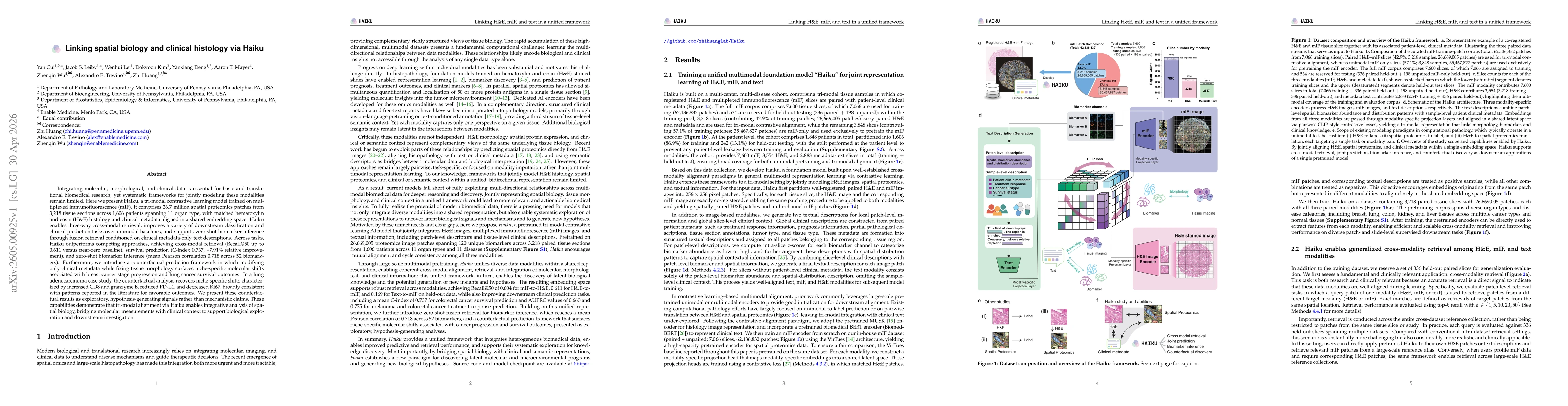 Thumbnail for Linking spatial biology and clinical histology via Haiku