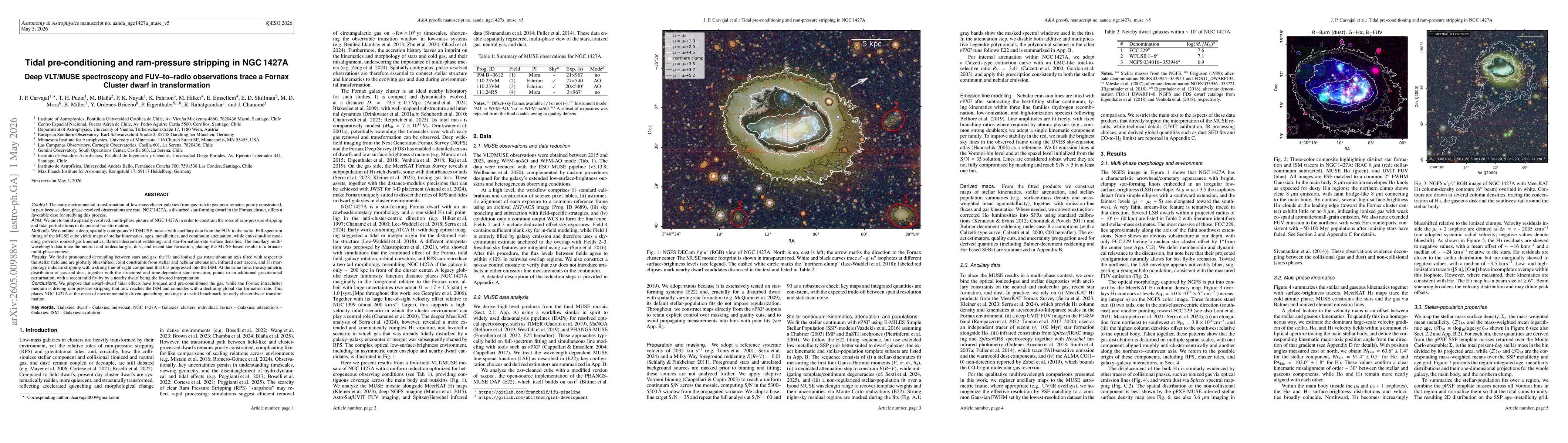 Thumbnail for Tidal pre-conditioning and ram-pressure stripping in NGC 1427A. Deep VLT/MUSE spectroscopy and FUV-to-radio observations trace a Fornax Cluster dwarf in transformation