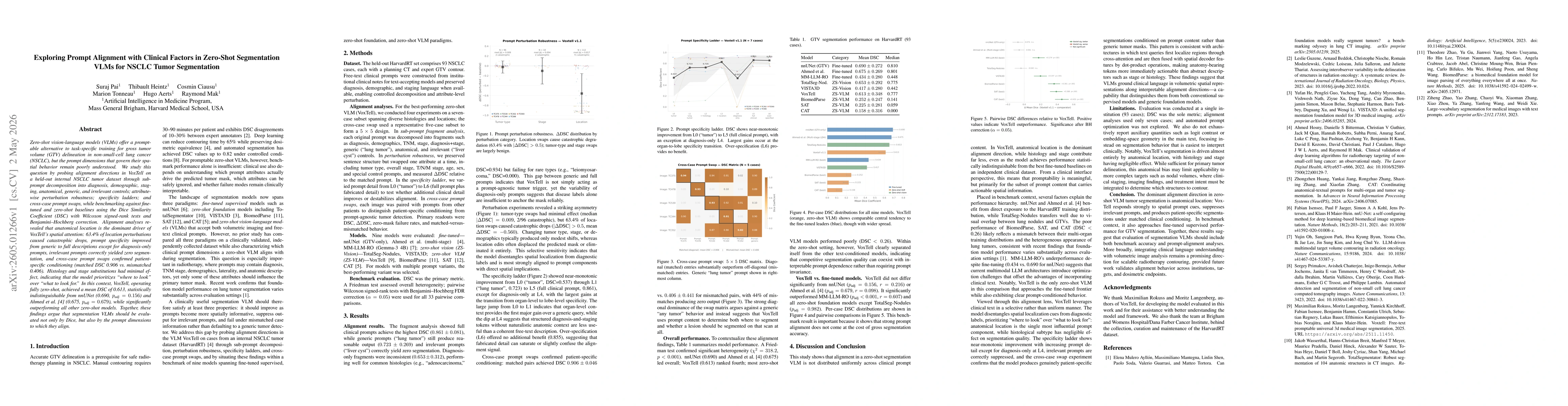 Thumbnail for Exploring Prompt Alignment with Clinical Factors in Zero-Shot Segmentation VLMs for NSCLC Tumor Segmentation