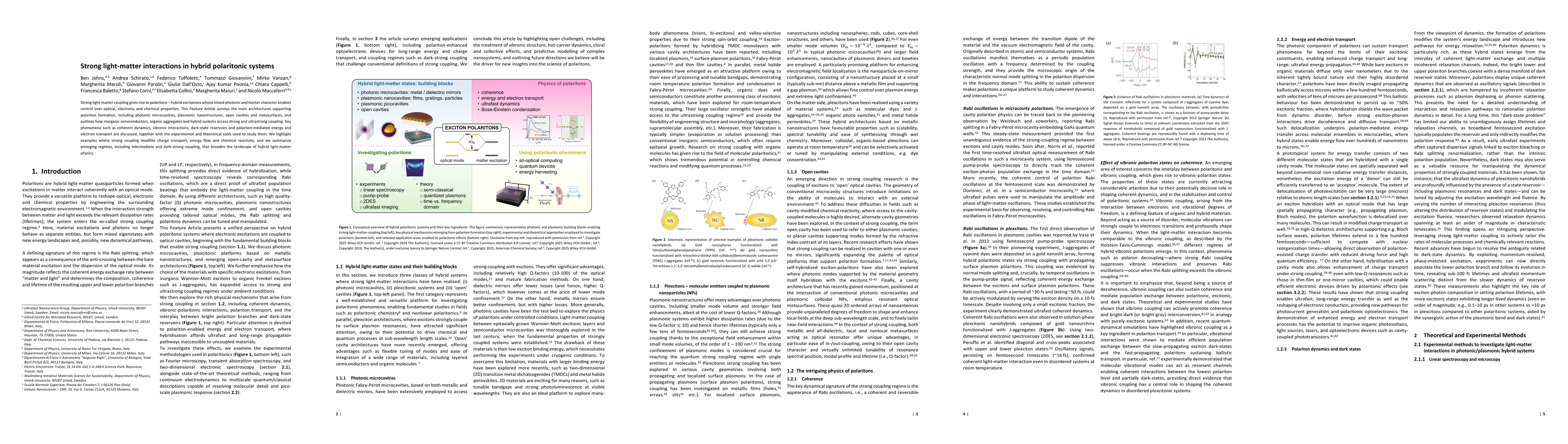 Thumbnail for Strong light-matter interactions in hybrid polaritonic systems