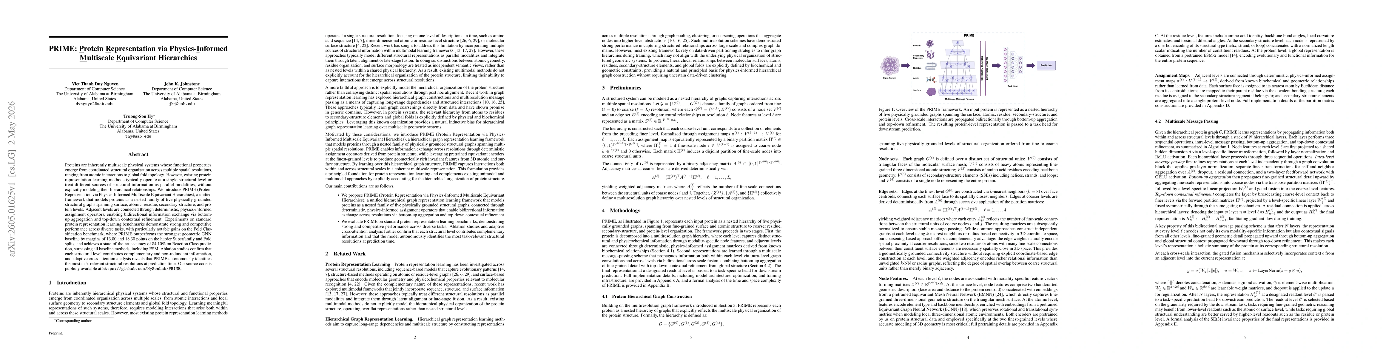 Thumbnail for PRIME: Protein Representation via Physics-Informed Multiscale Equivariant Hierarchies