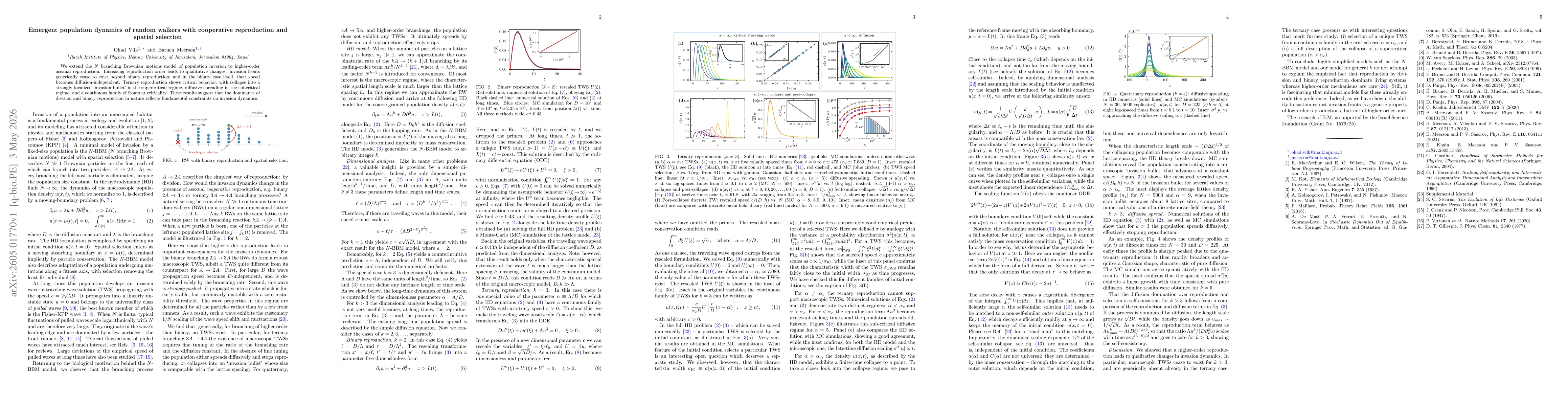 Thumbnail for Emergent population dynamics of random walkers with cooperative reproduction and spatial selection