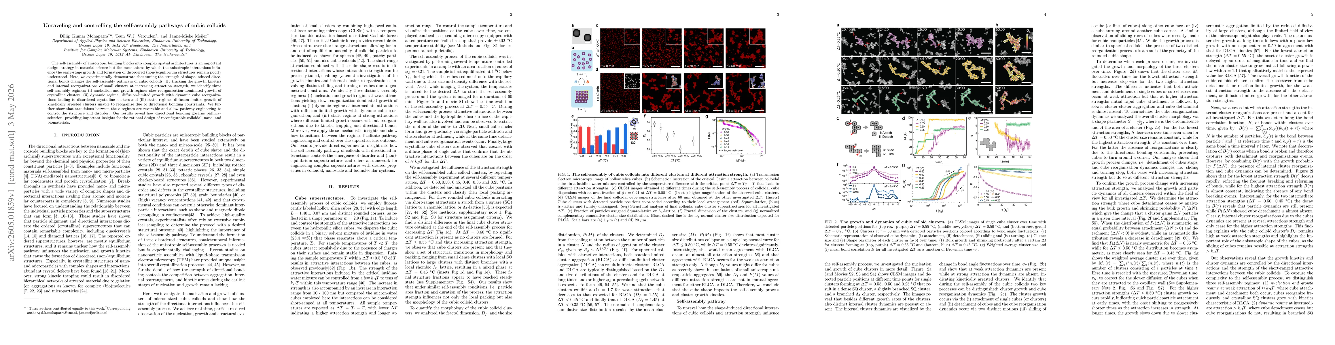 Thumbnail for Unraveling and controlling the self-assembly pathways of cubic colloids