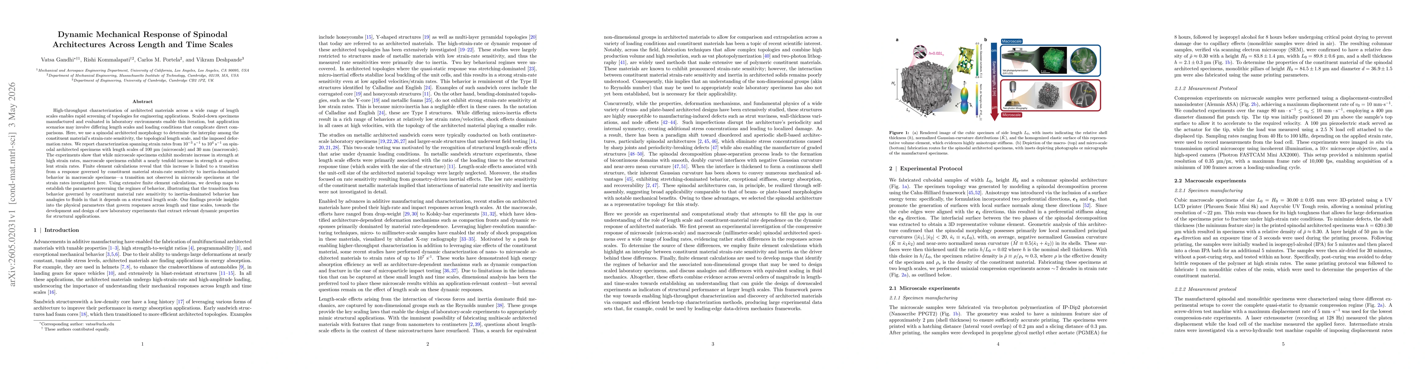 Thumbnail for Dynamic Mechanical Response of Spinodal Architectures Across Length and Time Scales