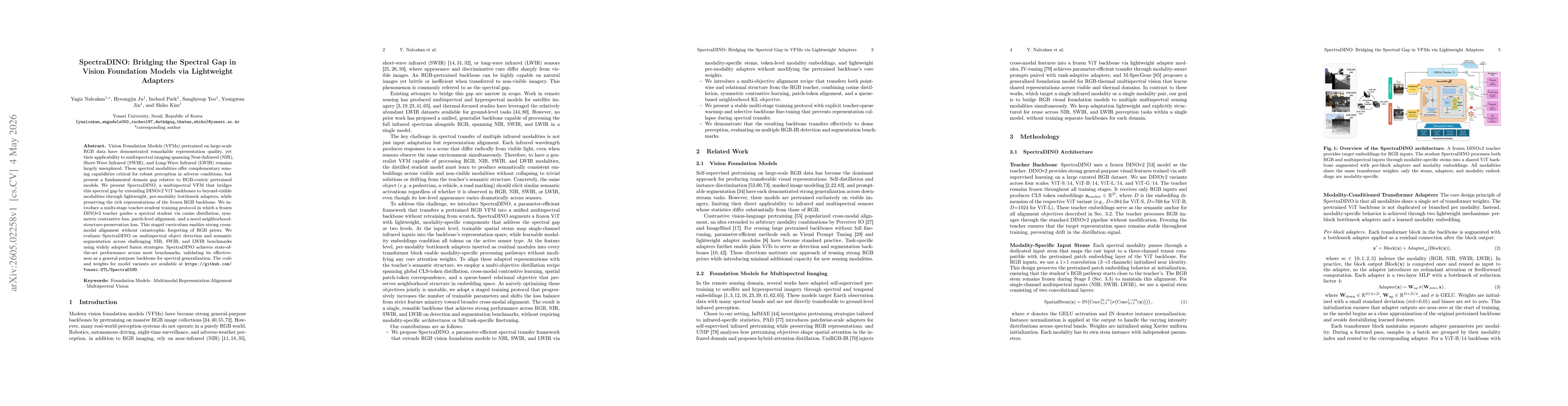 Thumbnail for SpectraDINO: Bridging the Spectral Gap in Vision Foundation Models via Lightweight Adapters