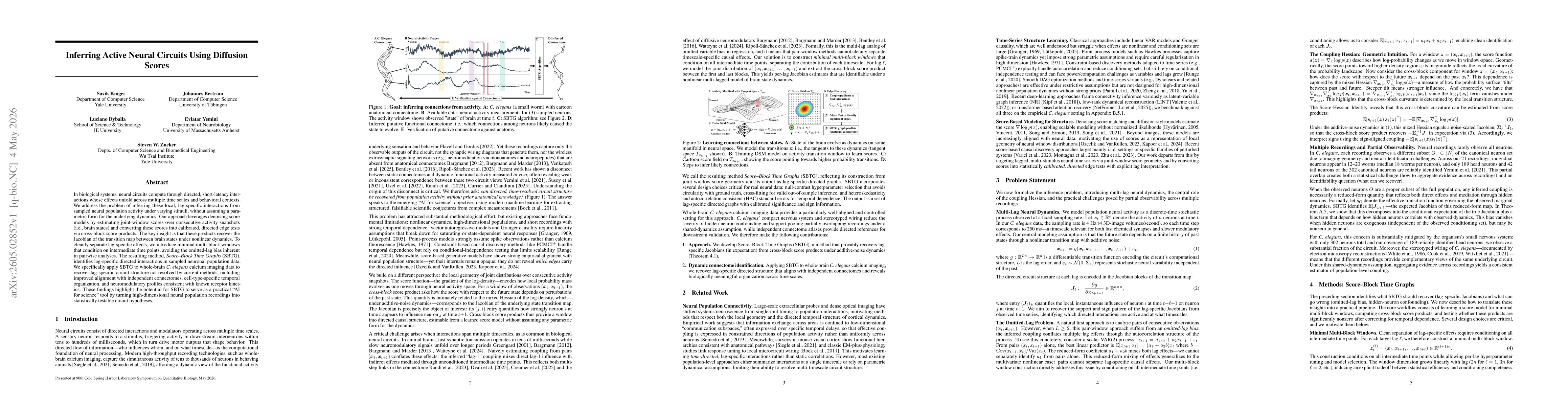Thumbnail for Inferring Active Neural Circuits Using Diffusion Scores