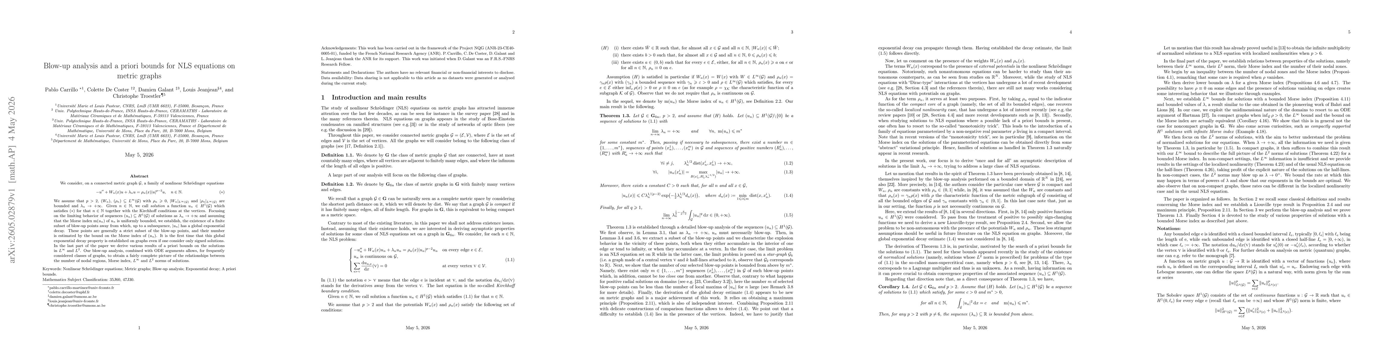 Thumbnail for Blow-up analysis and a priori bounds for NLS equations on metric graphs