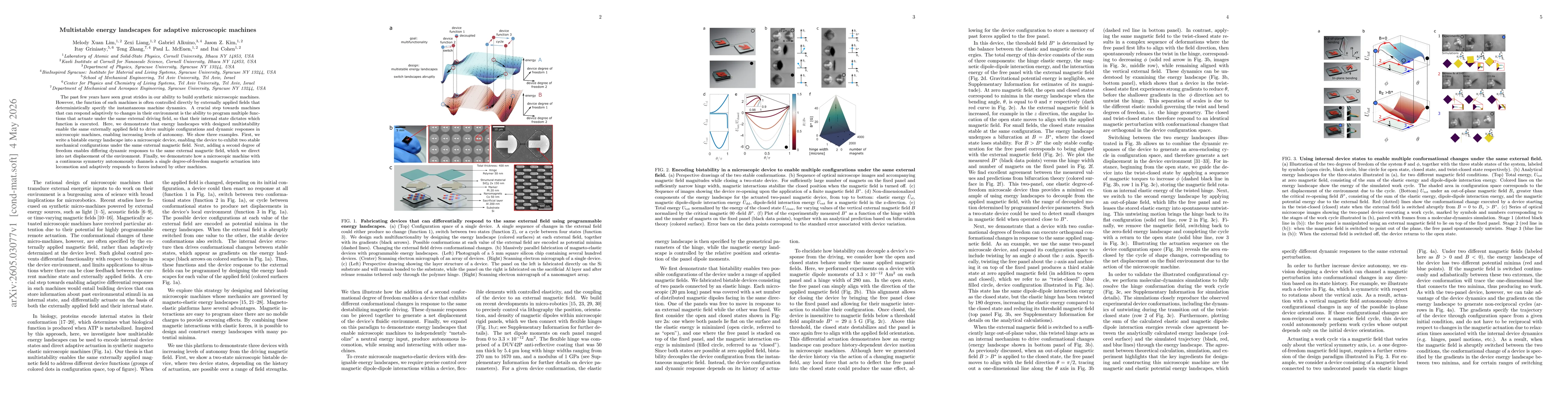 Thumbnail for Multistable energy landscapes for adaptive microscopic machines