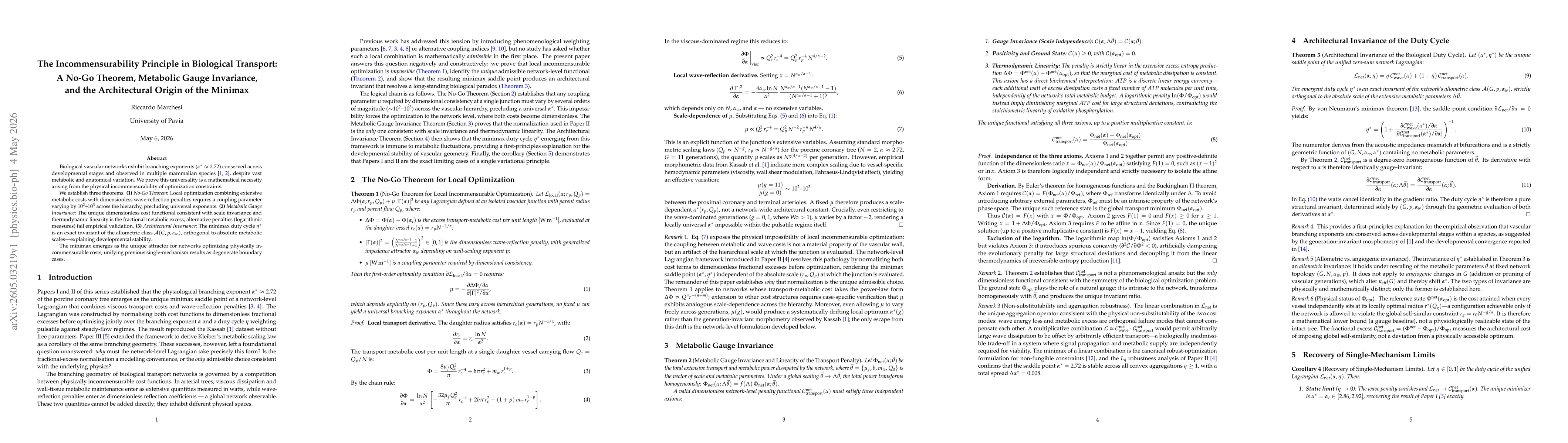 Thumbnail for The Incommensurability Principle in Biological Transport