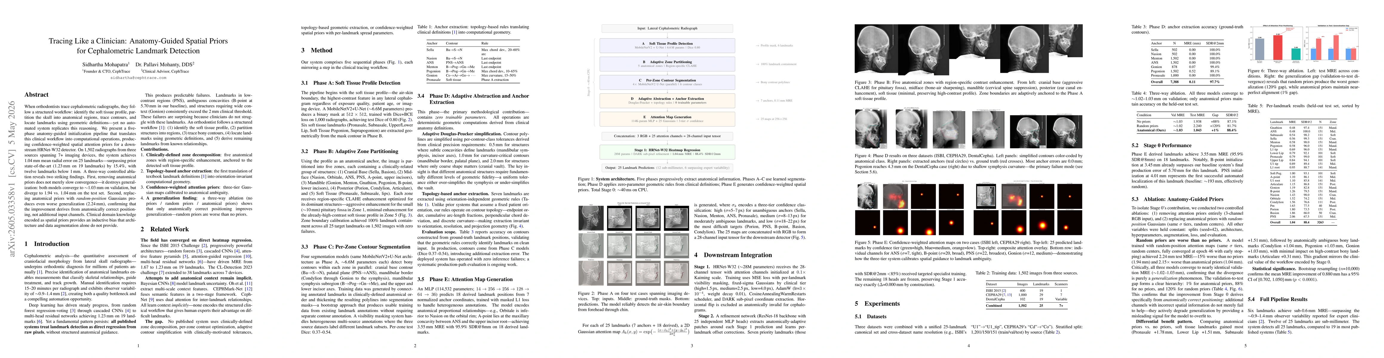Thumbnail for Tracing Like a Clinician: Anatomy-Guided Spatial Priors for Cephalometric Landmark Detection
