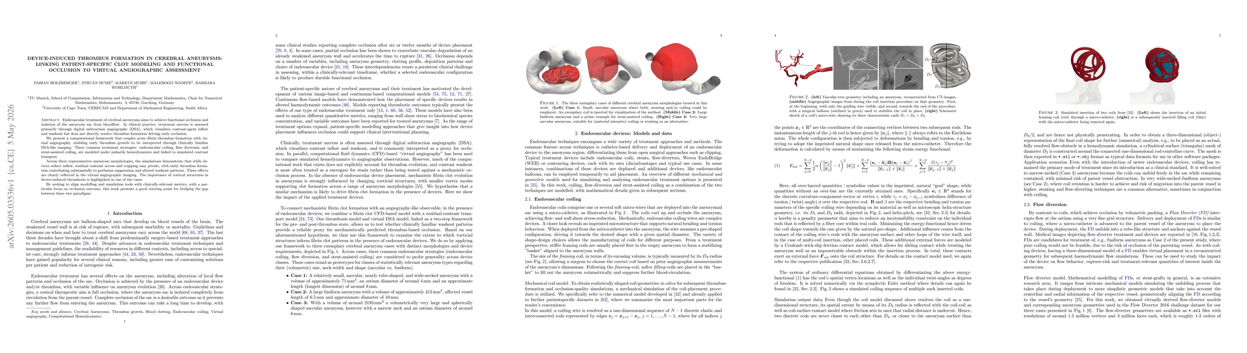 Thumbnail for Device-Induced Thrombus Formation in Cerebral Aneurysms: Linking Patient-Specific Clot Modeling and Functional Occlusion to Virtual Angiographic Assessment