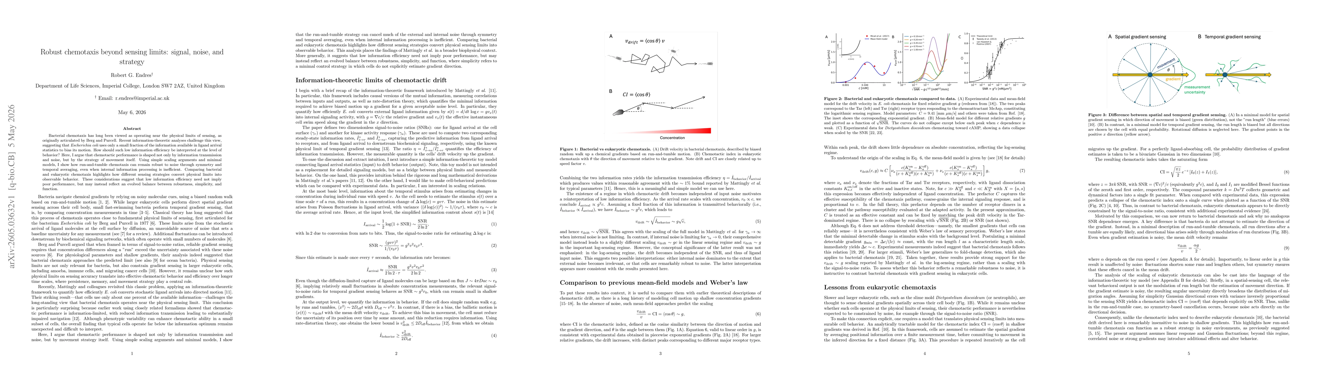 Thumbnail for Robust chemotaxis beyond sensing limits: signal, noise, and strategy