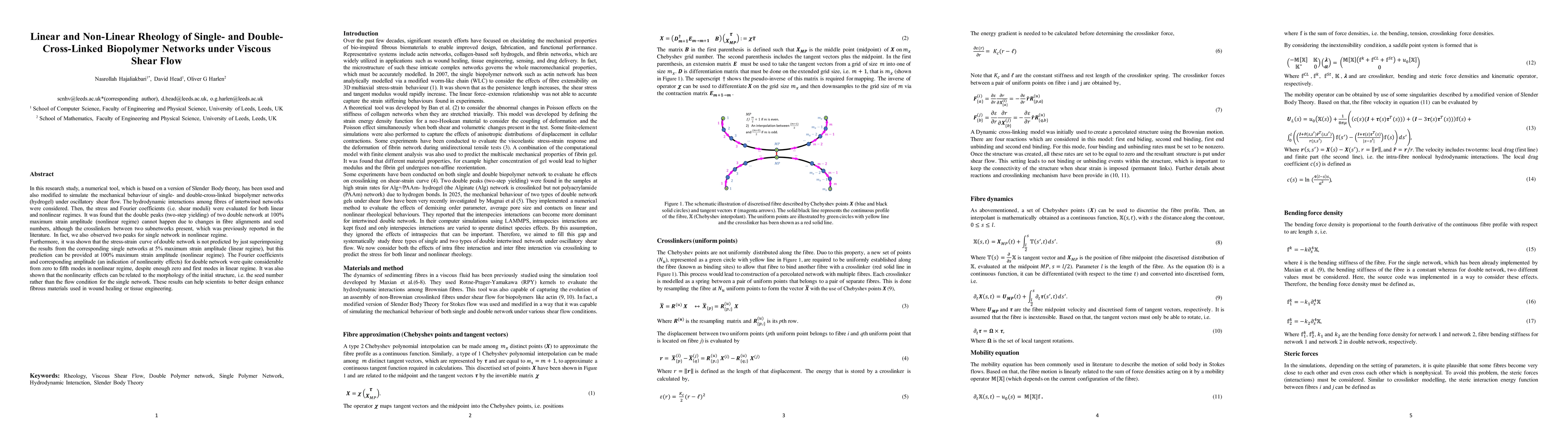 Thumbnail for Linear and Non-Linear Rheology of Single and Double Cross-Linked Biopolymer Networks under Viscous Shear Flow